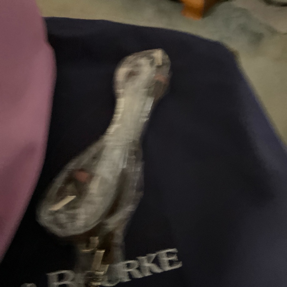 Dooney & Bourke Pink Tote Bag with Brown Accents - Picture 4 of 4